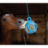 Horsemens Pride Jolly Hay Ball Toy - 8 in